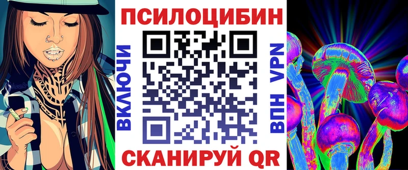 Купить  Ясногорск  Псилоцибиновые грибы Cubensis 