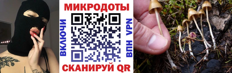 Галлюциногенные грибы Magic Shrooms Ясногорск